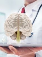 Промежуточный мозг – что общего между отделом ЦНС и гормональным балансом?