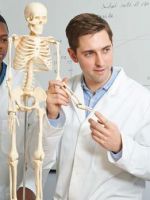 Сколько костей у человека, и как меняется скелет с возрастом?