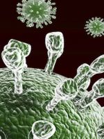 Норовирус – что это, как проявляется и чем опасна норовирусная инфекция?