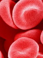Эритроциты в крови – норма и причины отклонений важного показателя