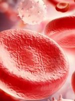 Клетки крови – за что отвечают и о чем говорит их количество?