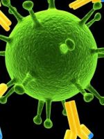 Антитела к коронавирусу – что это значит, когда появляются, норма антител в крови?