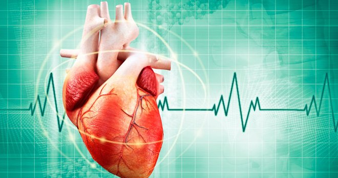 Мерцательная аритмия – причины, симптомы и лечение всех форм нарушения сердечного ритма