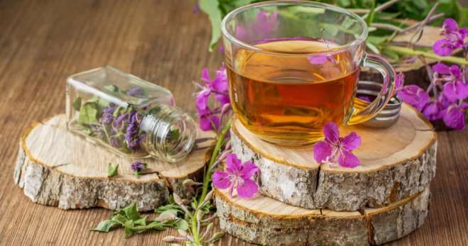 Как сушить иван-чай в домашних условиях для эффективного применения?