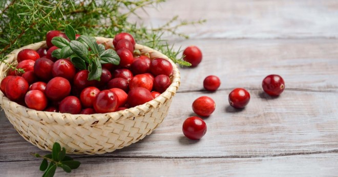 Клюква – лечебные свойства и противопоказания свежей, замороженной, сушенной и вяленой ягоды 