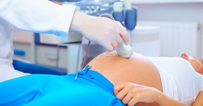 Двурогая матка и беременность у женщин – вероятность зачатия и благополучных родов