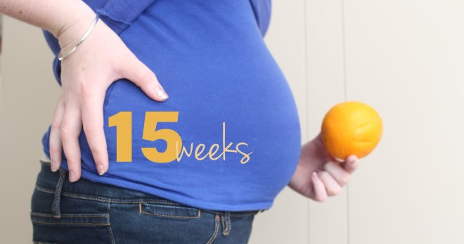 15 неделя беременности – это сколько месяцев, что происходит? Живот на ... Подростковый Фитнес