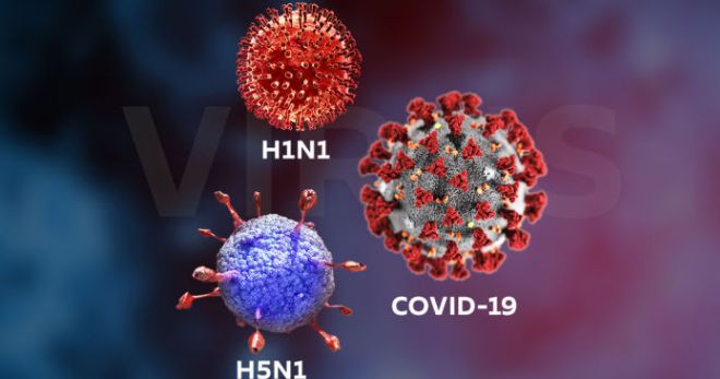 Отличие коронавируса от гриппа и ОРВИ – какие симптомы расскажут о типе вируса?