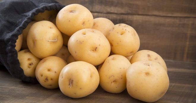 Картофель Вега – описание сорта: урожайность, вкусовые качества