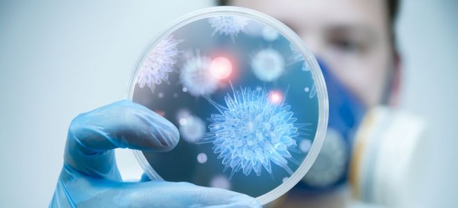 Австралийский грипп (H3N2) 2018: причины и признаки заражения, как поддержать иммунитет и особенности лечения болезни