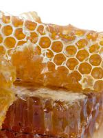 Можно ли мед при беременности?
