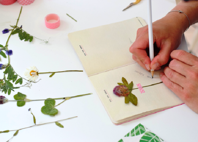 Как оформить гербарий из листьев в школу фото