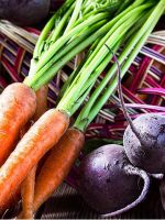Как хранить свеклу и морковь на зиму?