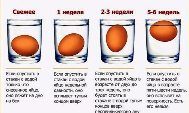 Как проверить тухлое яйцо или нет в воде