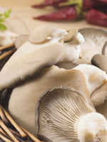 Как приготовить грибы вешенки - 9 оригинальных идей приготовления вкусных блюд