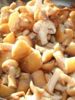 Жареные опята с луком - самые вкусные рецепты блюда с грибами