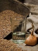 Брага на пшенице - рецепты приготовления основы для домашнего алкоголя