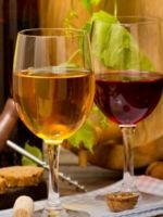 Домашнее вино - лучшие рецепты приготовления фруктового или ягодного алкоголя