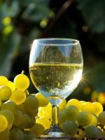 Вино из белого винограда - восхитительно вкусные рецепты алкоголя в домашних условиях