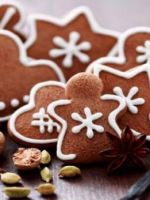 Имбирное печенье – рецепты вкуснейшей домашней выпечки 