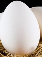 Гусиные яйца - польза, способы хранения и лучшие рецепты вкусных блюд