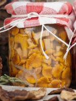 Маринад для грибов на зиму - лучшие способы заготовки пикантных закусок