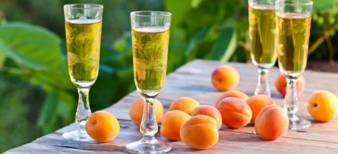 абрикосовая настойка на водке