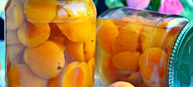 абрикосы половинками в сиропе рецепт