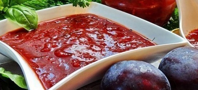 adzhika s yablokami slivami i pomidorami