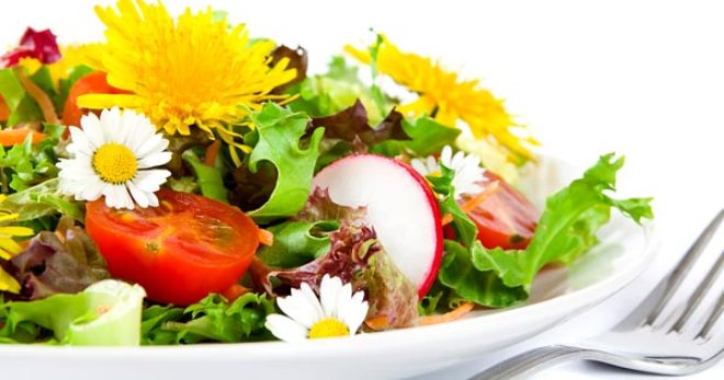 Салат из одуванчиков - вкусные и полезные рецепты закуски на каждый день