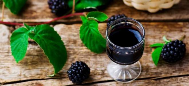 домашнее вино из ежевики простой рецепт
