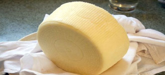 Домашний твердый сыр из творога и молока