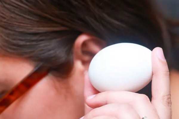 Как определить свежесть яйца, не разбивая его