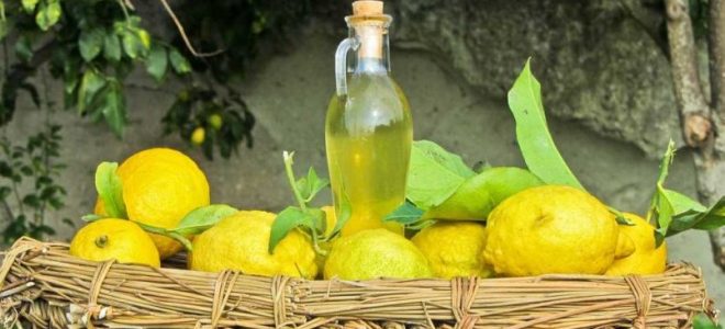 как сделать лимончелло в домашних условиях