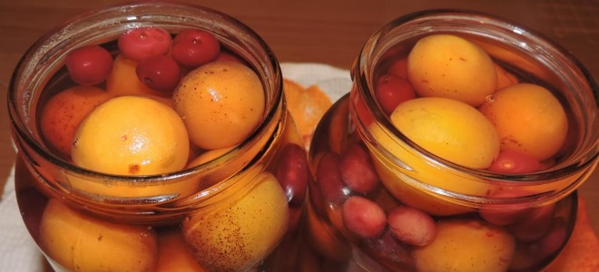 компот из абрикосов и черешни
