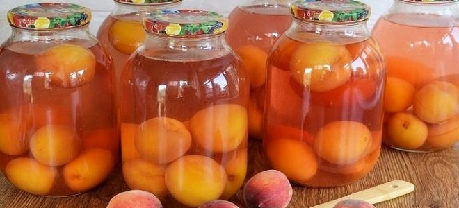 компот из персиков на зиму рецепт