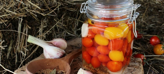 консервирование томатов на зиму рецепты