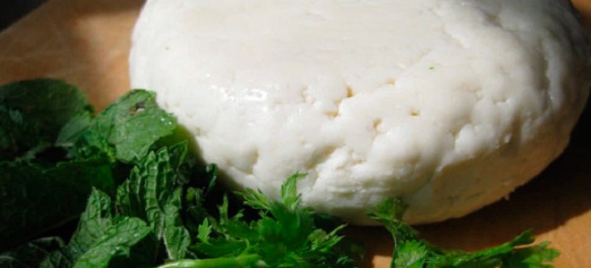 Осетинский сыр