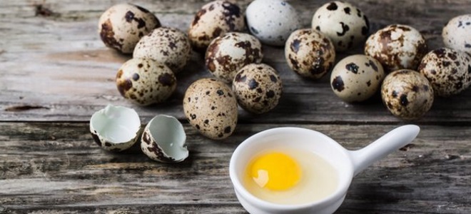 перепелиные яйца рецепты