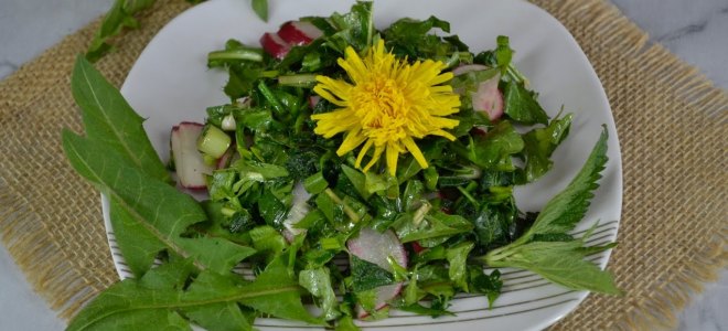 салат из листьев одуванчика и крапивы