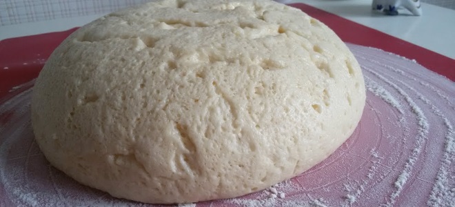 Тесто для пирожков дрожжевое на молоке пышные рецепт с фото пошагово с живыми