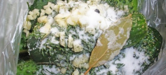Сухая засолка огурцов – рецепт в пакете
