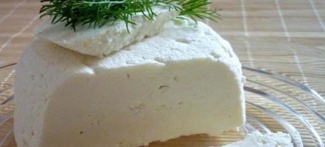 сыр из кефира