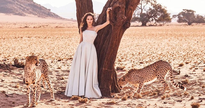 Анджелина Джоли украсила обложку Harper's Bazaar