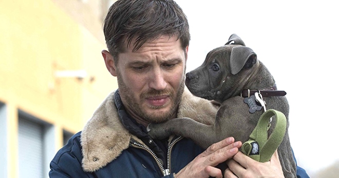 Том Харди спас бездомных щенков от гибели и нашел им хозяев