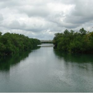 Река Рио-Ондо