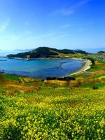 Острова Южной Кореи