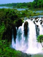 Национальные парки Эфиопии