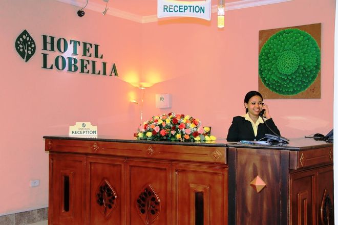 В отеле Lobelia