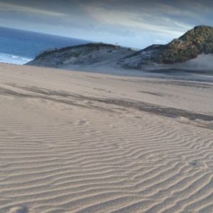 Песчаные дюны Сигатока